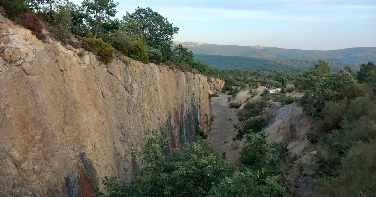 The Ancient Forest of Verdeña: A Glimpse into Earth's Past