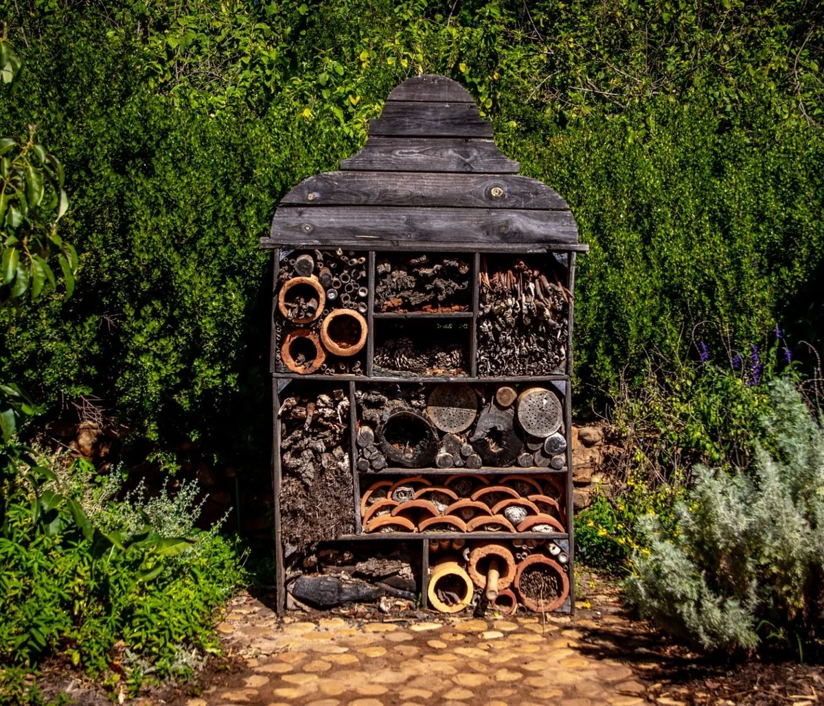 How to Build an Insect Hotel: A Step-by-Step Guide