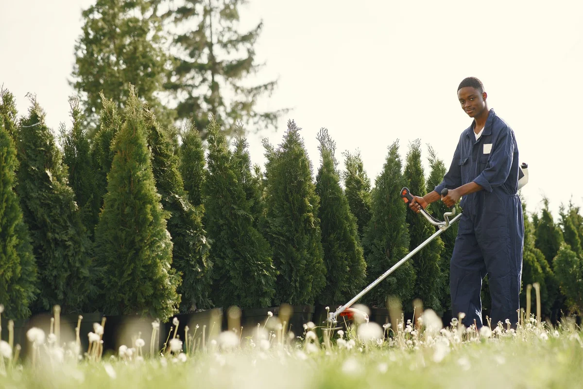 Battery-Powered String Trimmers: Ideal Tools for Lawn Edges and Hard-to-Reach Areas
