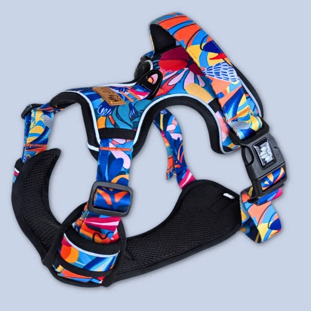 Choosing the Right Harness for Your Dog: A Comprehensive Guide