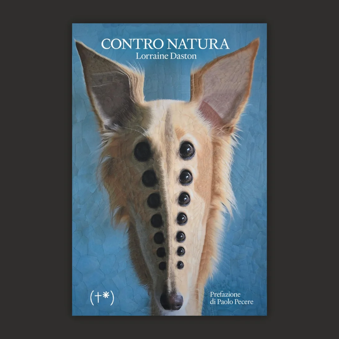 Rethinking Nature in Gardening: Insights from Lorraine Daston