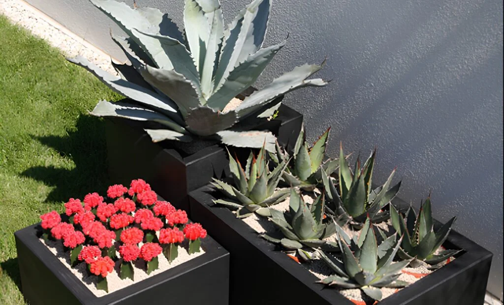 Bento Box Gardening: A New Approach to Green Spaces