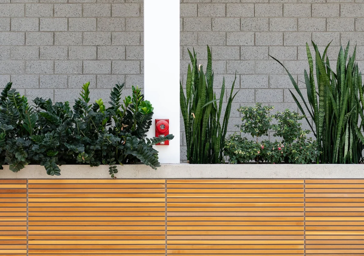 Automated Irrigation Systems: Efficiently Watering Your Garden