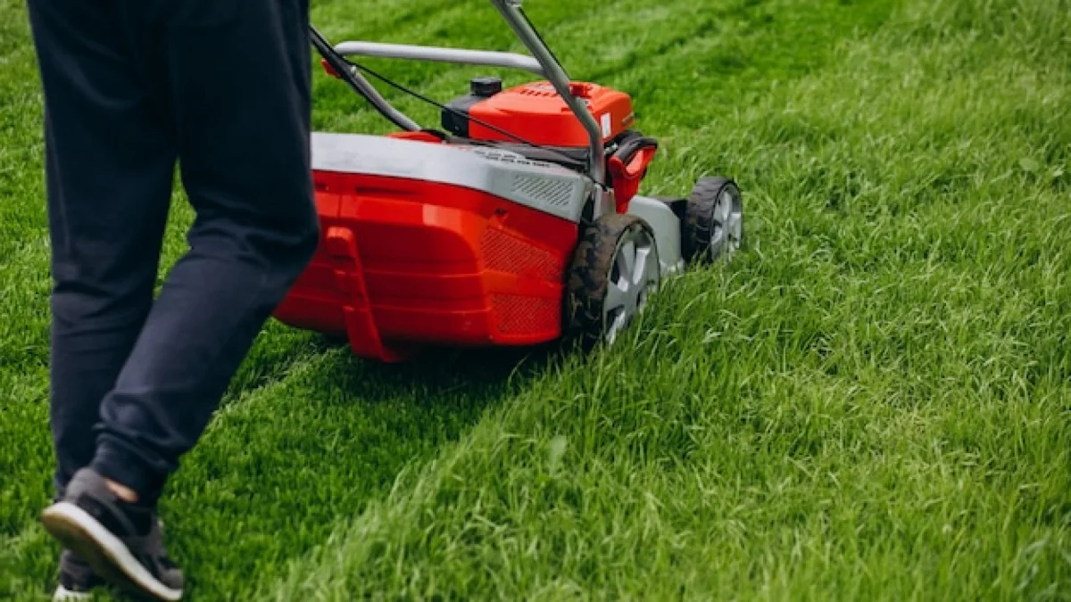 Essential Gardening Equipment for a Beautiful Outdoor Space