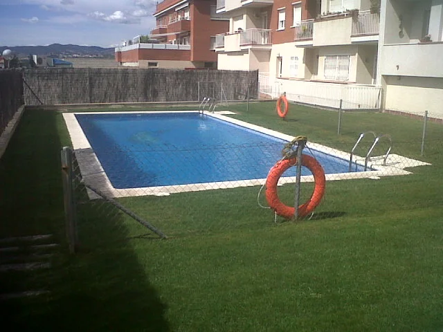 Essential Tips for Pool Maintenance