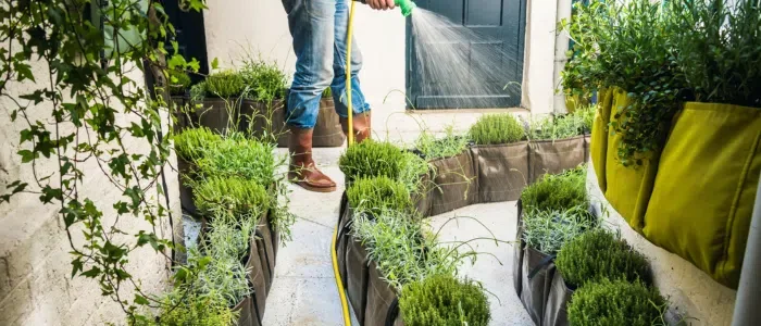 BACSAC®: The Customizable Solution for Urban Gardening